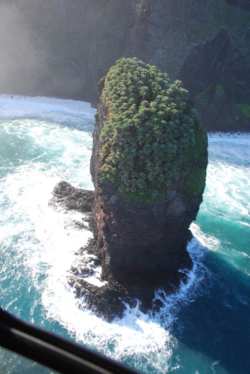 Lo'Ulu Lelo