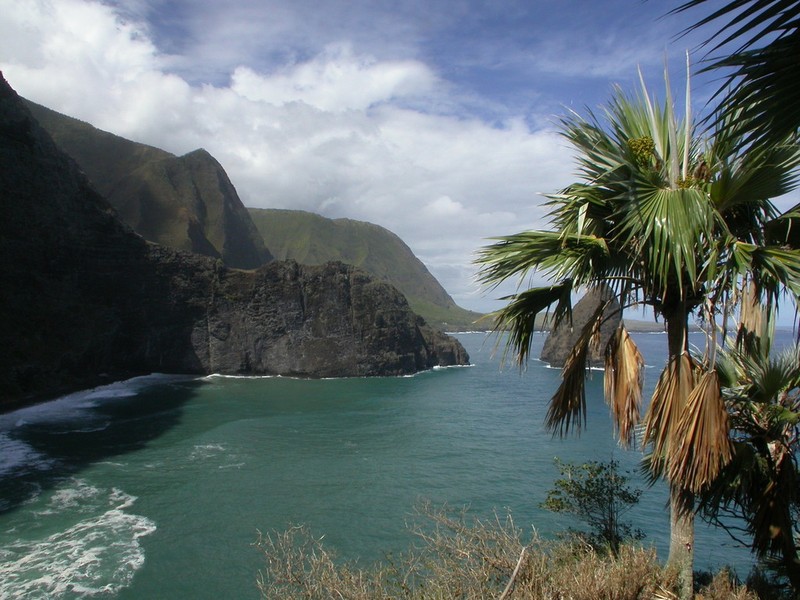 Lo'Ulu Lelo photo 3