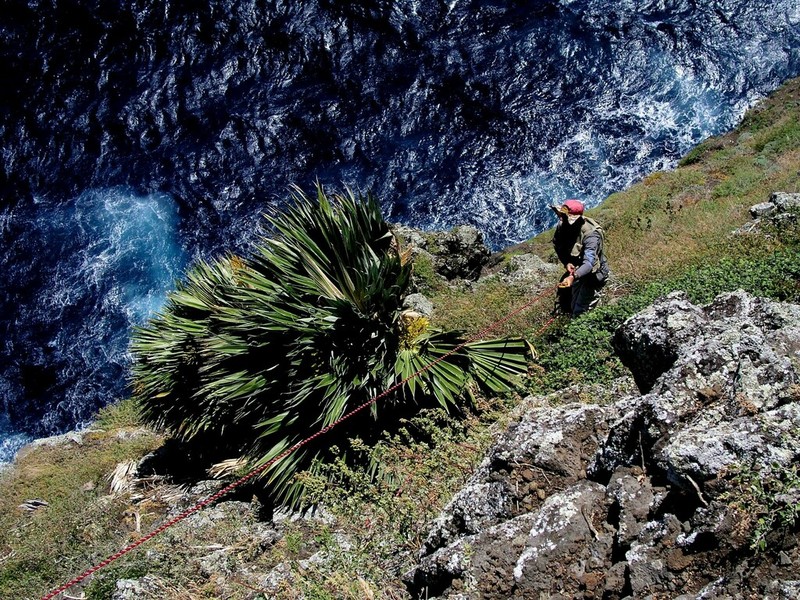 Lo'Ulu Lelo photo 4