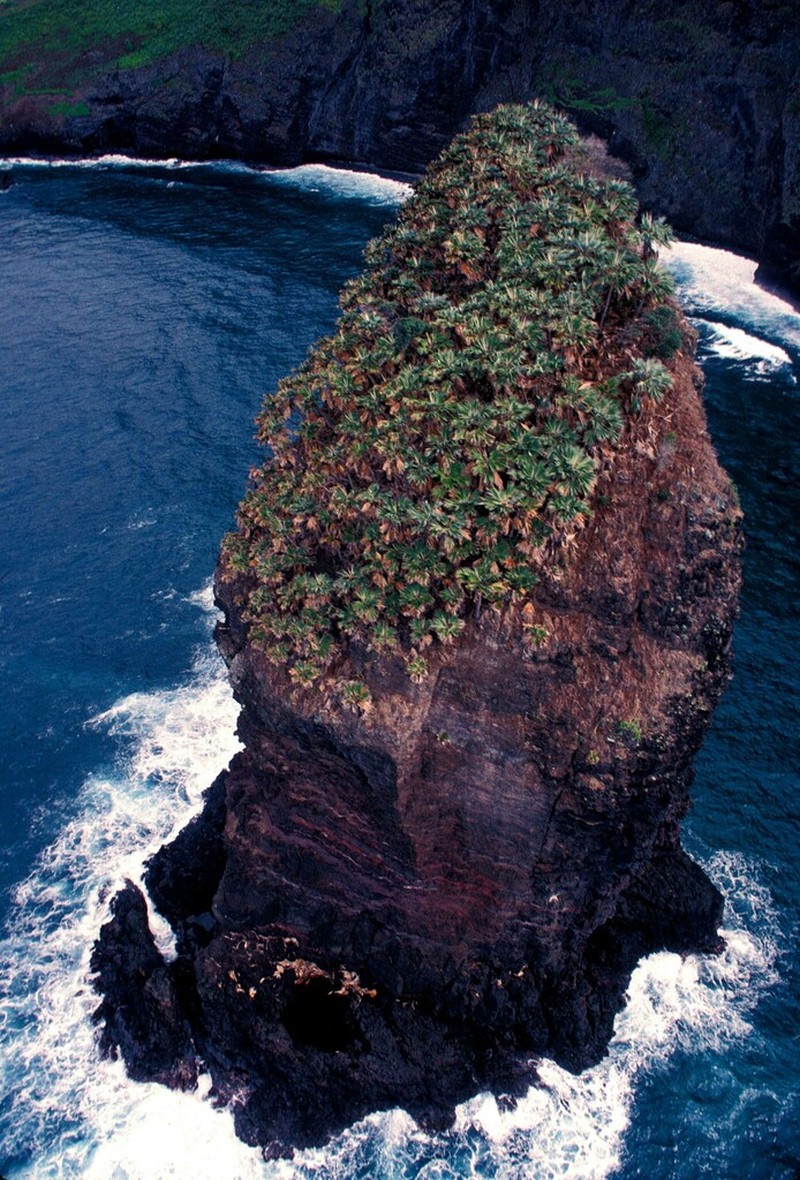 Lo'Ulu Lelo photo 5
