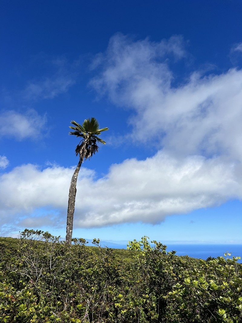 Lo'Ulu photo 3