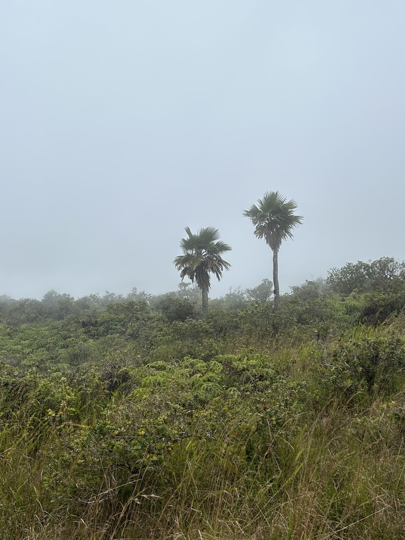Lo'Ulu photo 7