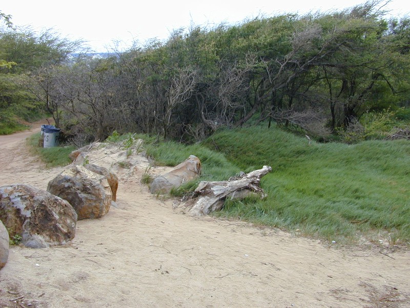 Kiawe photo 2