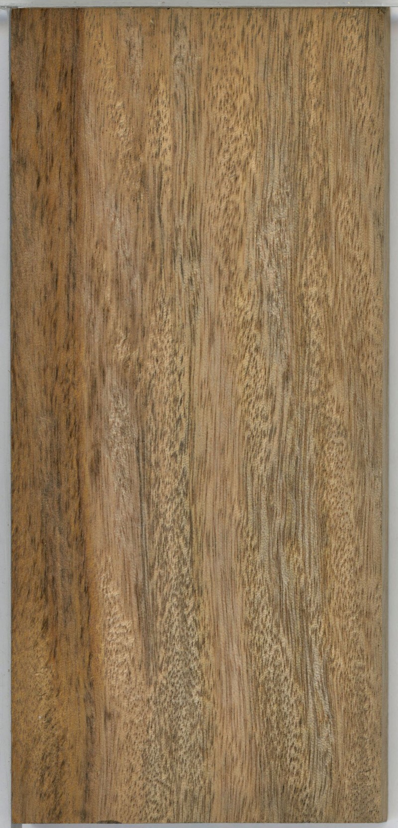 Protorhus thouarsii