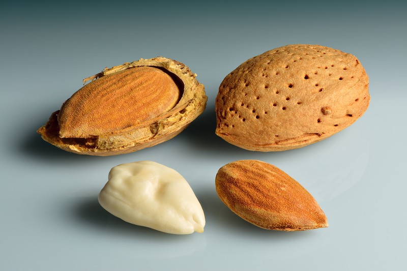 Sweet Almond
