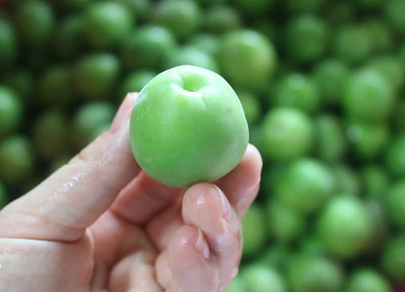 Japanese Apricot photo 3