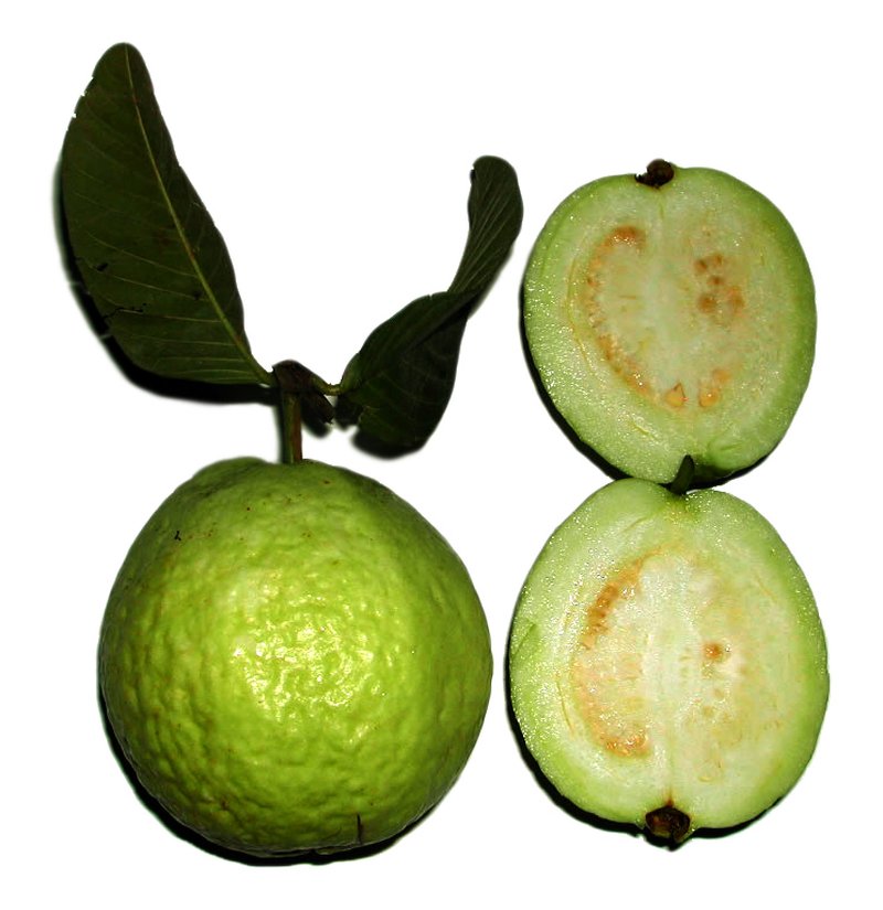 Guava