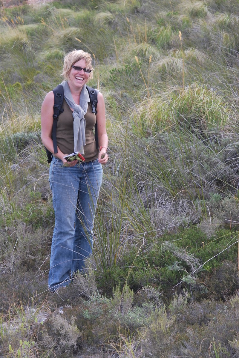 Psoralea curtisiae