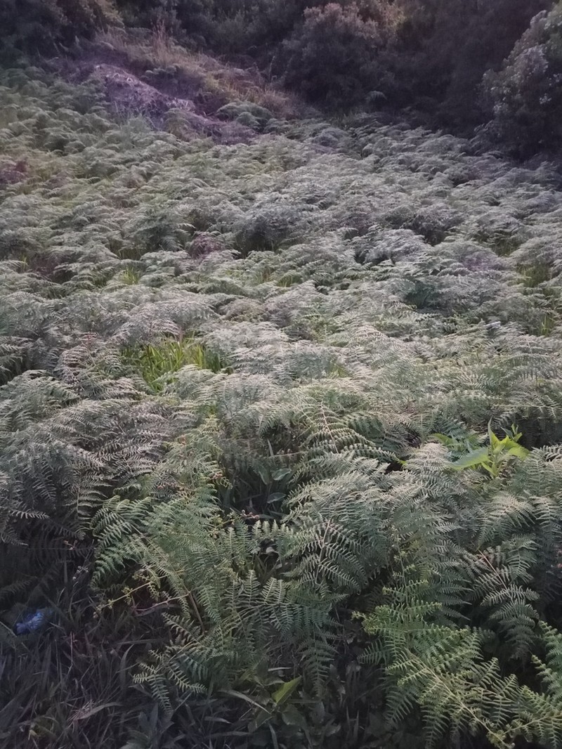 Waimakanui photo 3