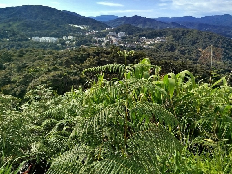 Waimakanui photo 8