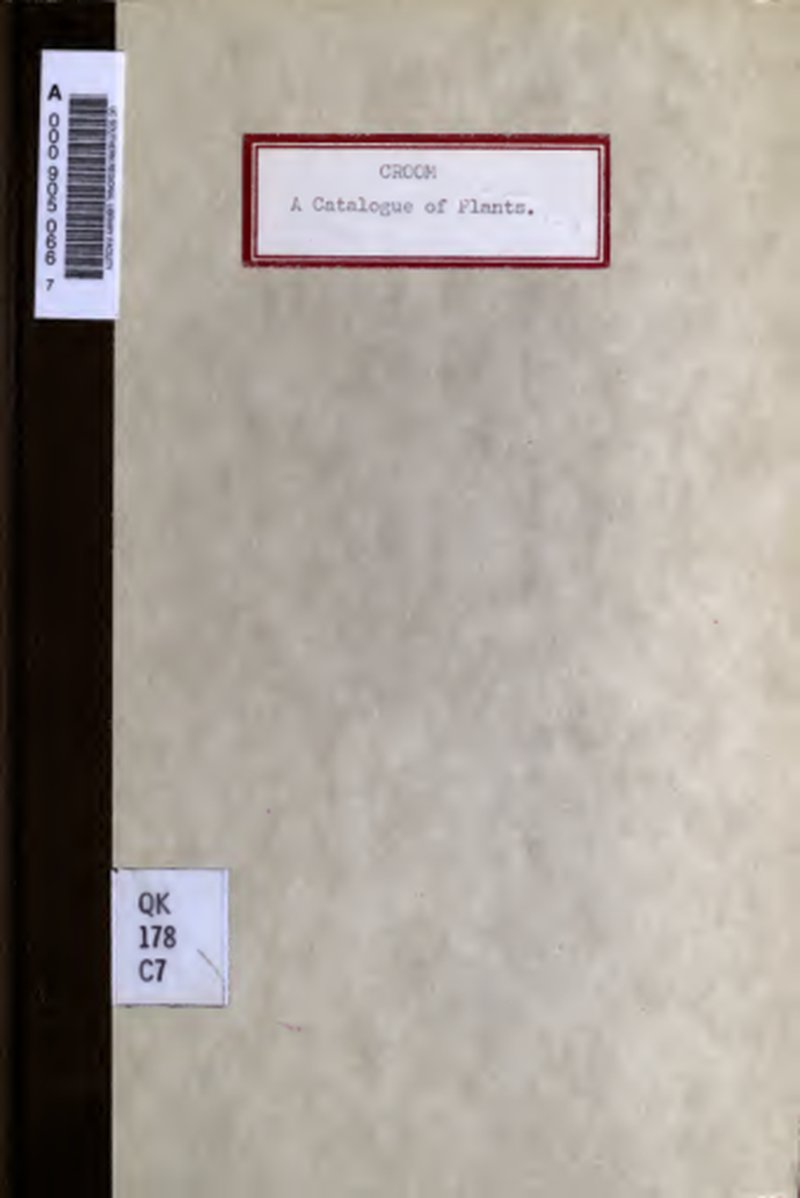 Loomis' Mountainmint