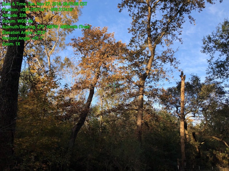 Bottomland Post Oak photo 6