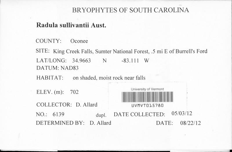 Radula sullivantii