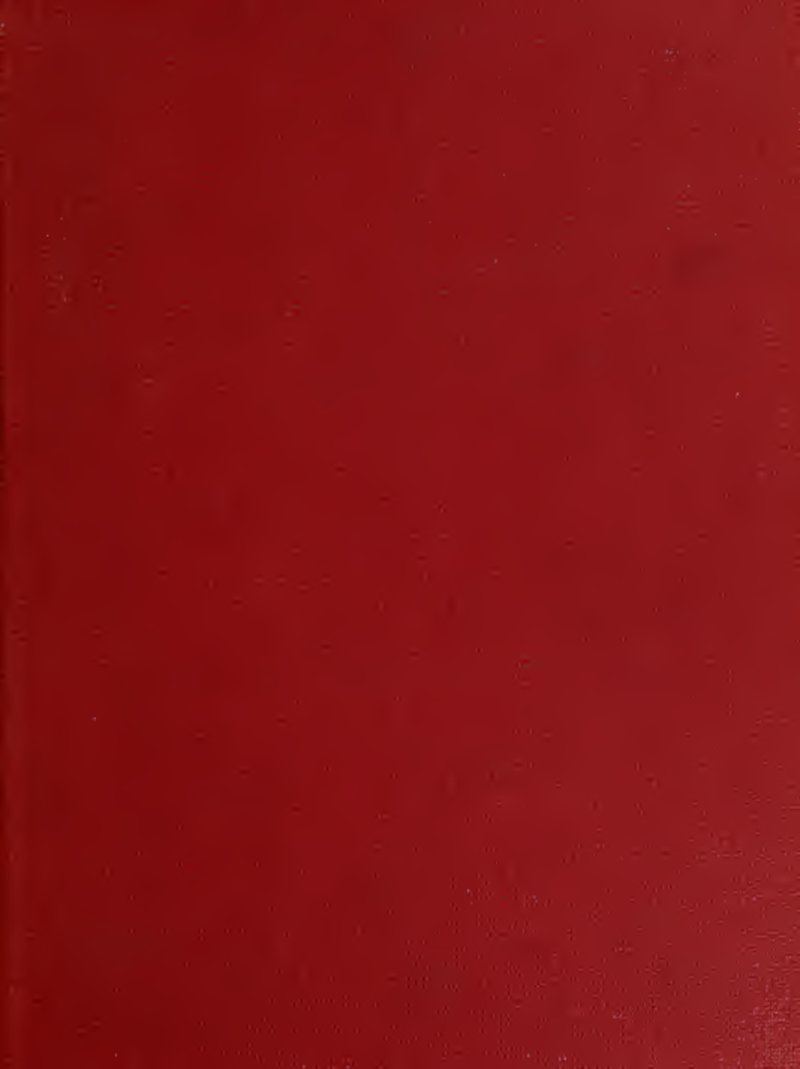 Puerto Rico Indigoberry