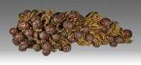 Raffia Palm