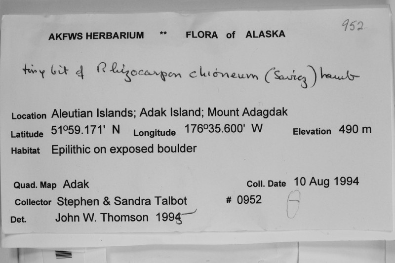 Map Lichen photo 6