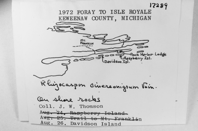 Map Lichen photo 4