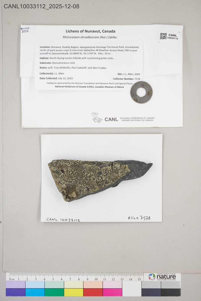 Map Lichen photo 2