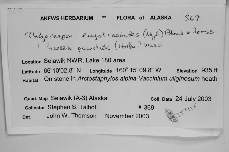 Map Lichen photo 6