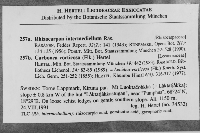 Map Lichen
