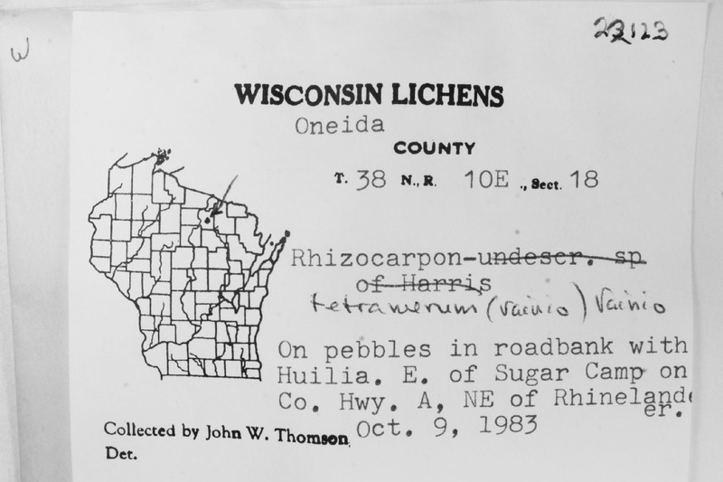 Map Lichen photo 2