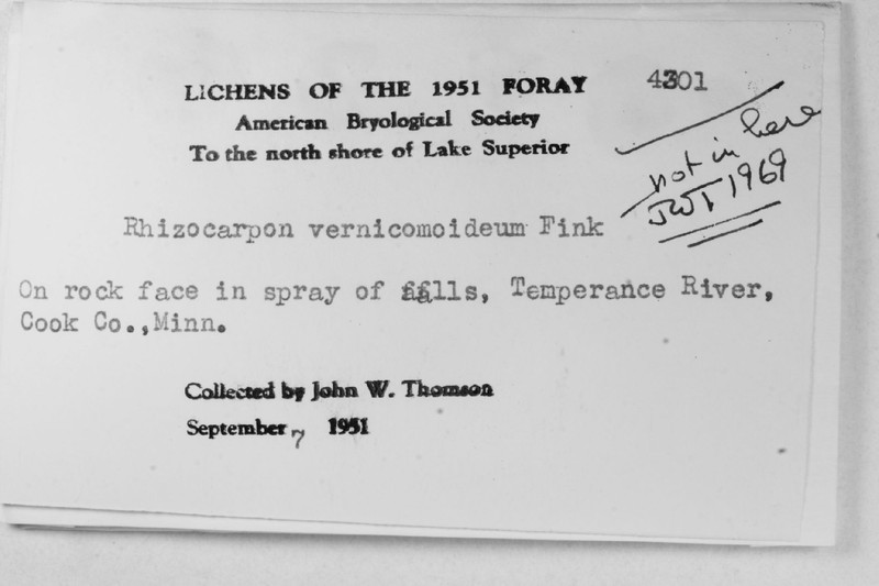 Map Lichen