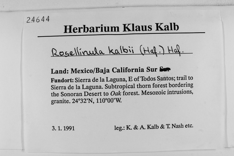 Rosellinula kalbii