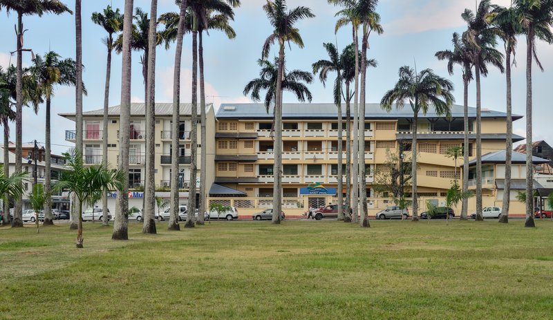 Caribbean Royal Palm photo 4