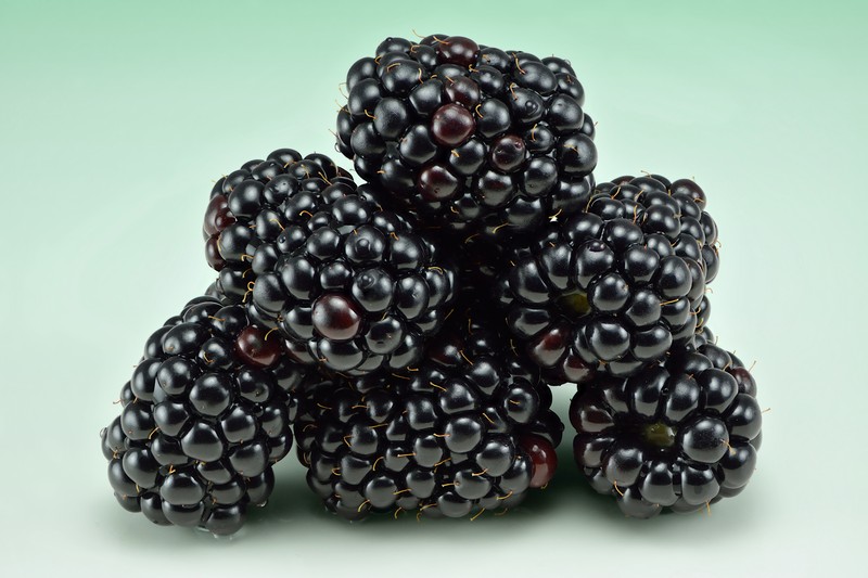 Link's Blackberry photo 2