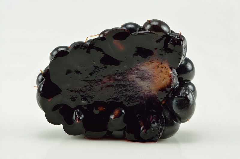 Shrubby Blackberry photo 3