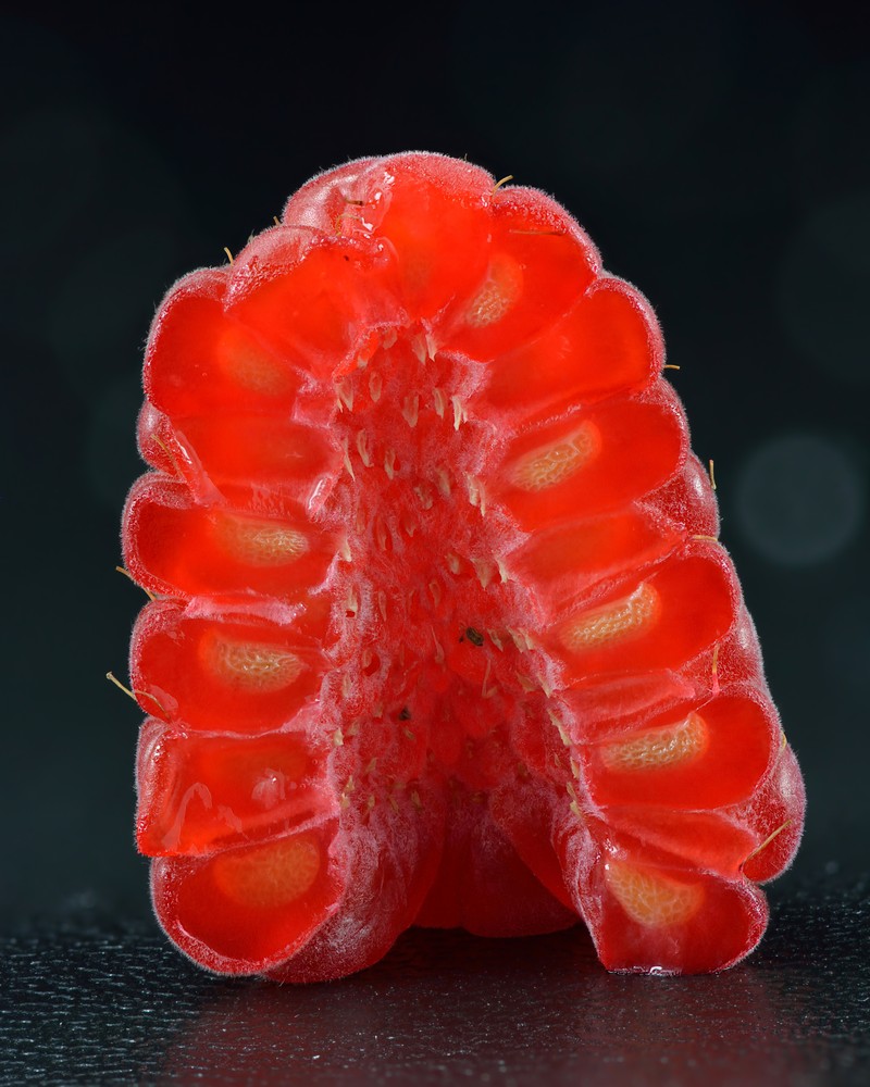 American Red Raspberry photo 3