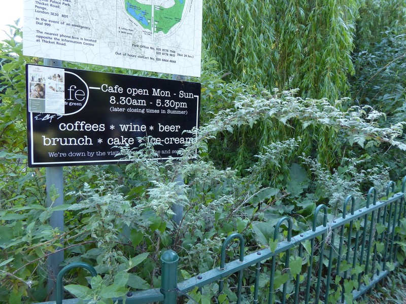 Rubus ludwigii photo 2