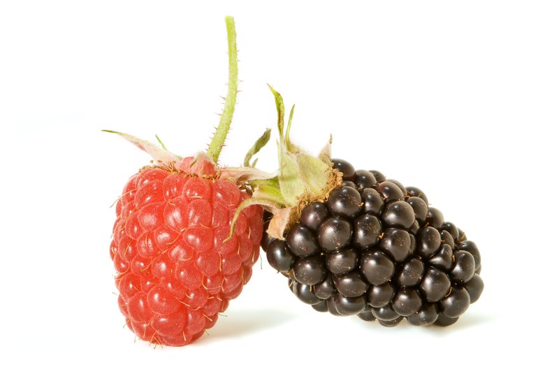 Domeshape Dewberry