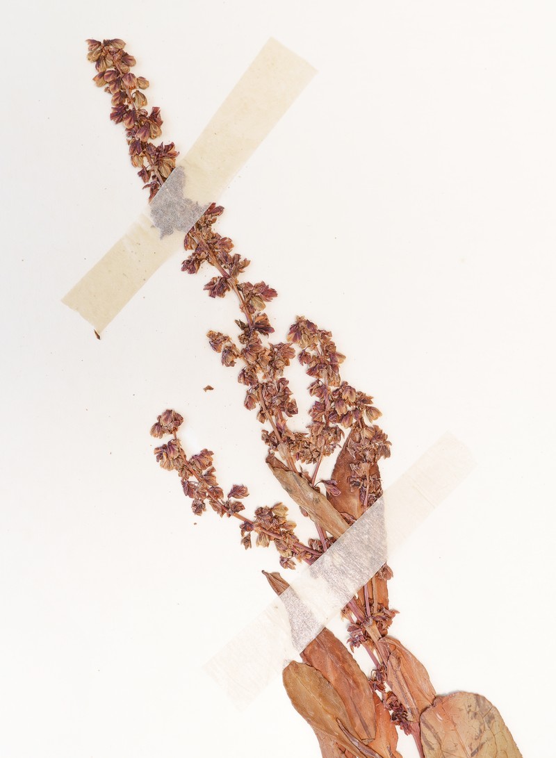 Clustered Dock photo 5