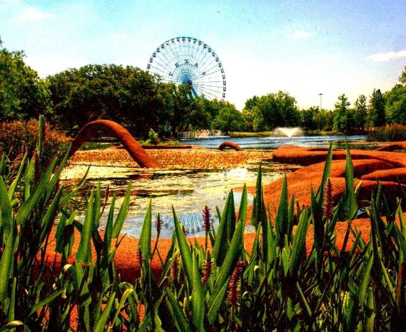 Delta Arrowhead photo 5