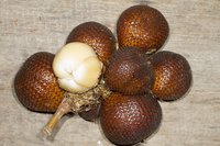 Salac Palm