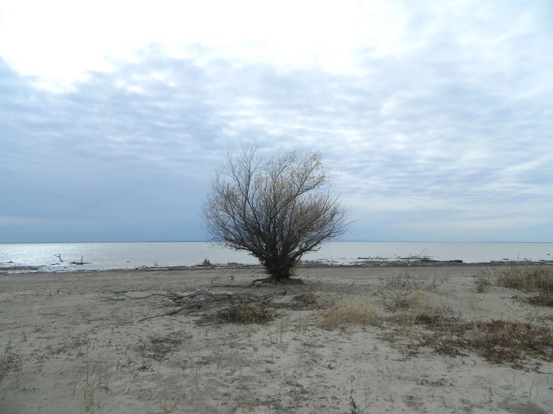 Sali ecelsa photo 6