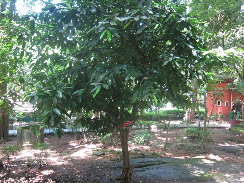 Cheskeam photo 4