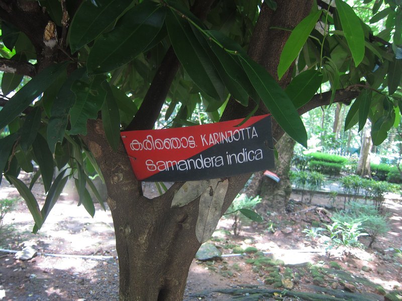Cheskeam photo 8