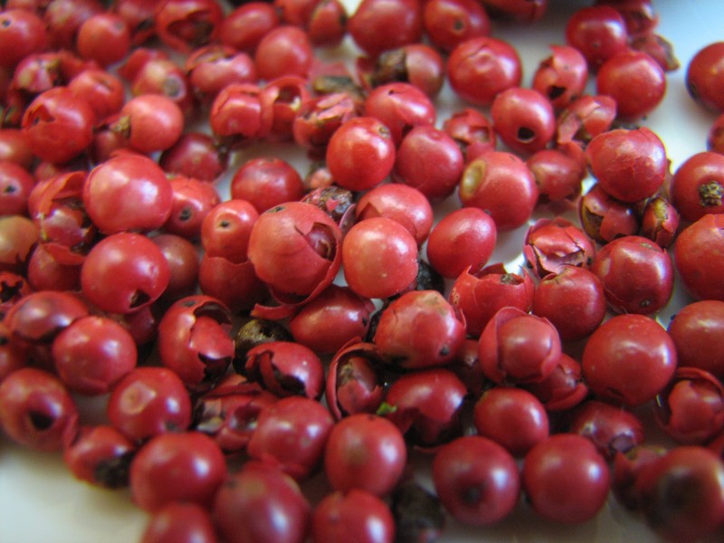 Brazilian Peppertree photo 7
