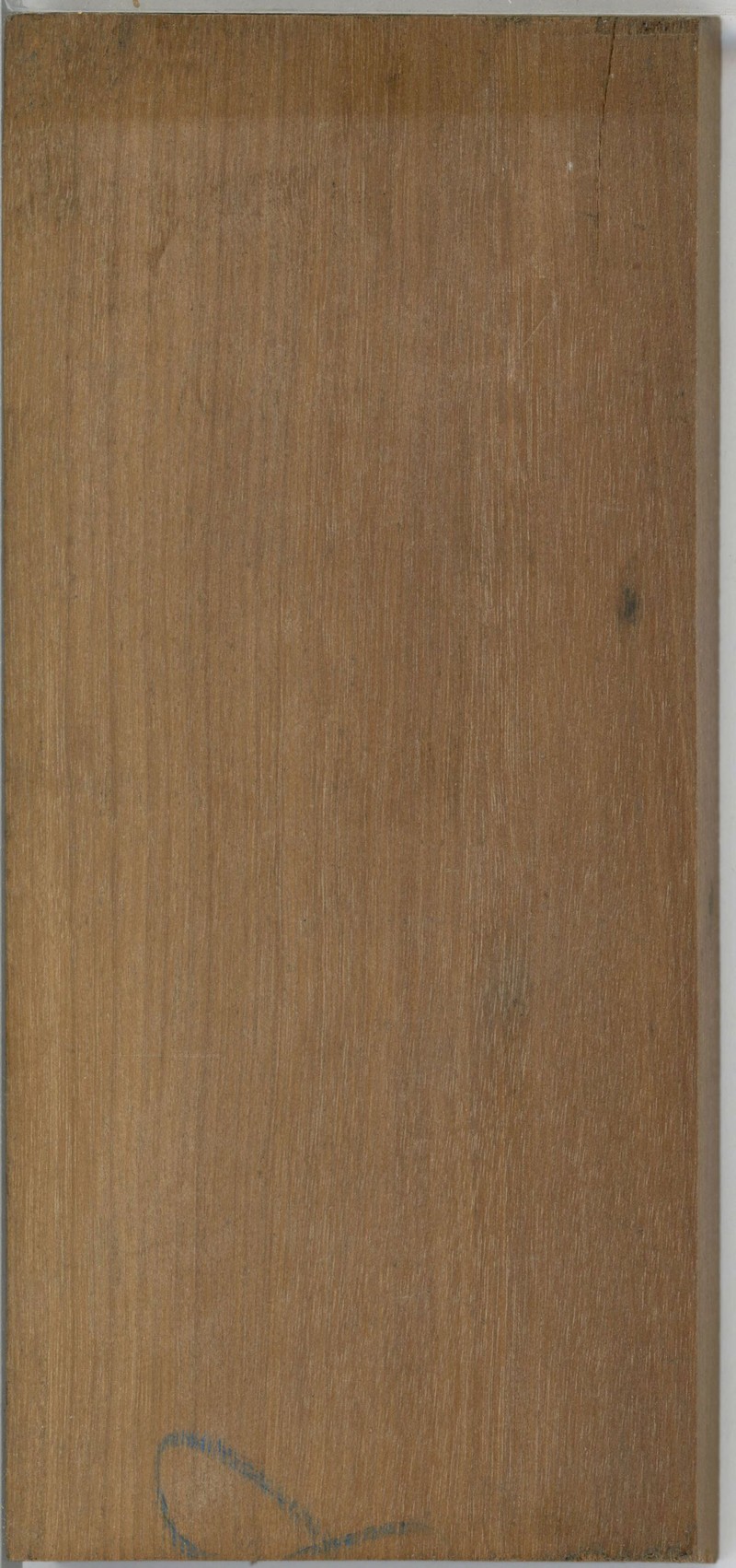 Scolopia thouvenotii
