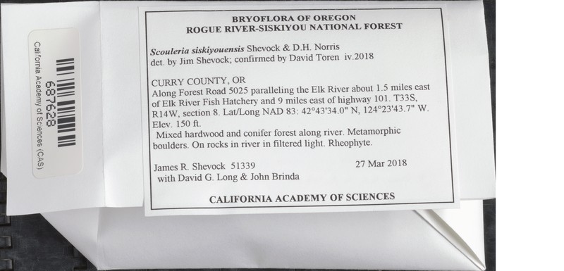 Siskiyou Splashzone Moss photo 2