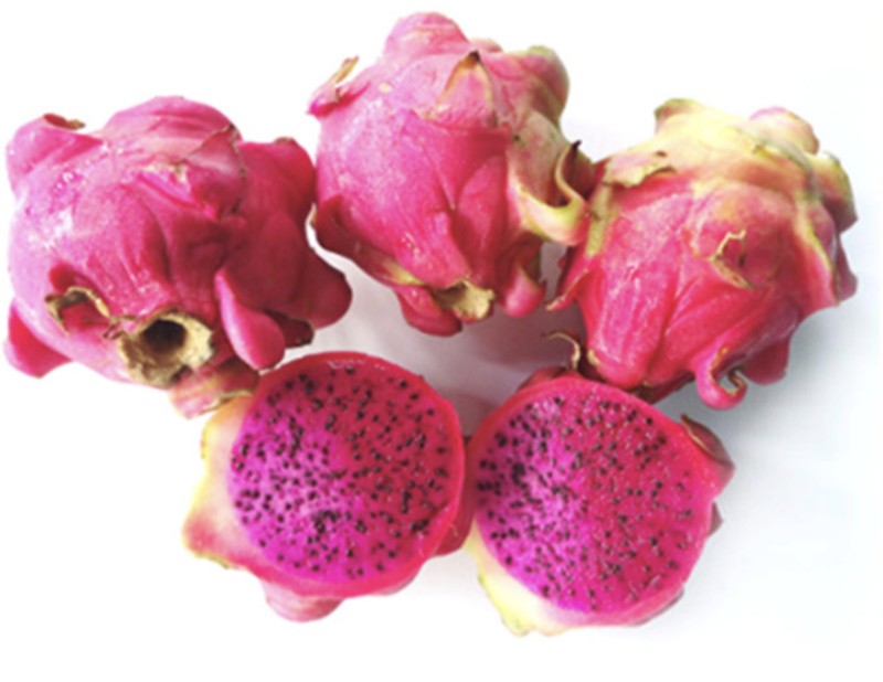 Selenicereus purpusii