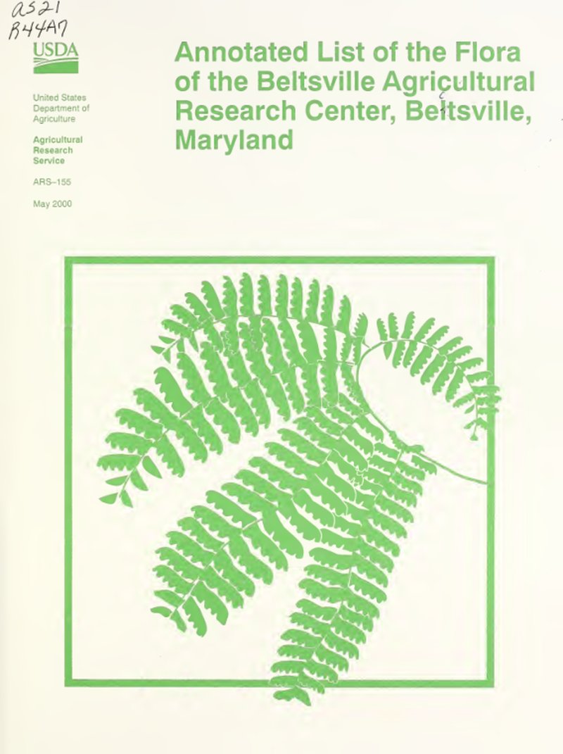 Maryland Sematophyllum Moss