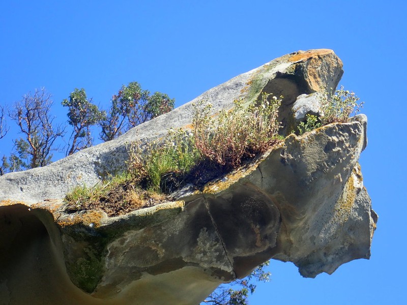 Old-Man-In-The-Spring photo 2