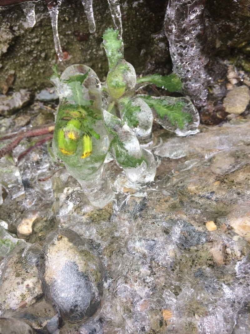 Old-Man-In-The-Spring photo 3