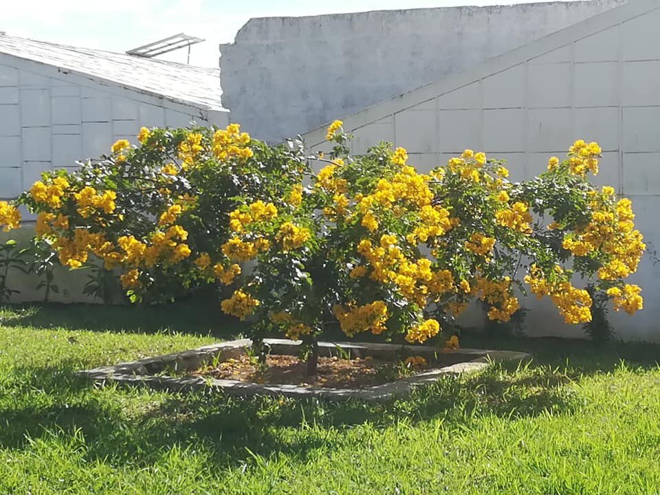 valamuerto photo 2