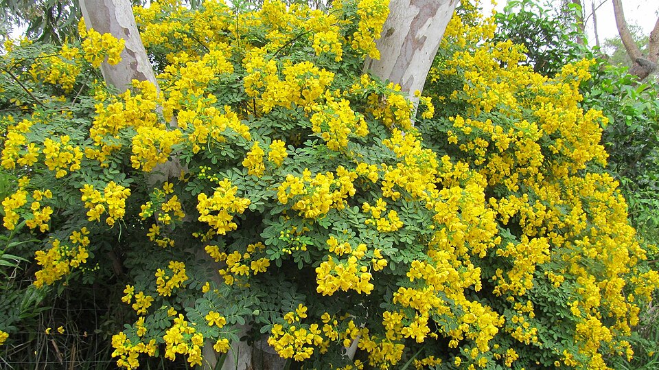 valamuerto photo 3