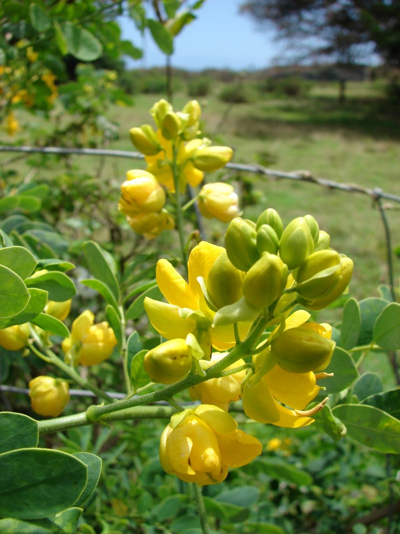 valamuerto photo 5