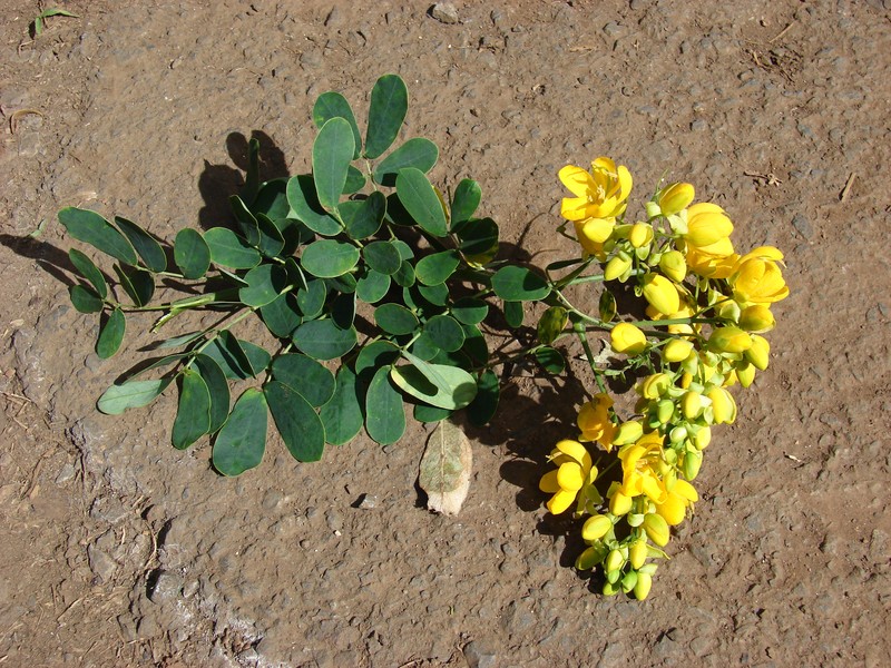 valamuerto photo 6